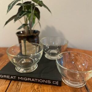 La Rochère Bee Glass Bowls – 20.5 oz – French Embossed Glass – Set of 3